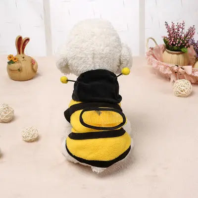 Clothes Teddy Dog Clothes Novara Shop