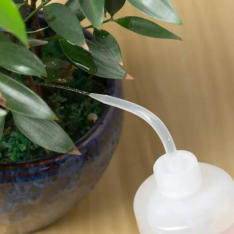 150/250 / 500mL Water Beak Pouring Kettle Tool Succulents Plant Flower Watering Can Squeeze Bottles with Gardening Tools Garden Novara Shop