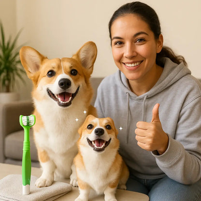 Toothbrush for Pets | Three-Sided Toothbrush | Novara Shop