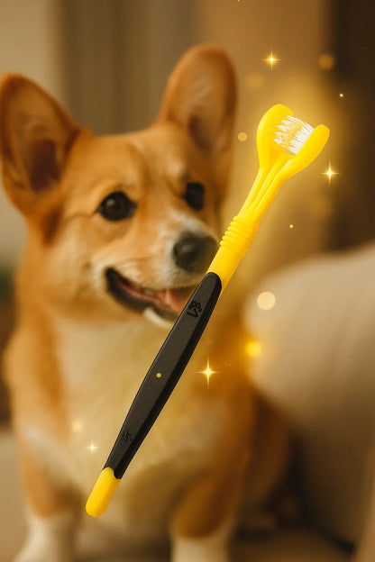Toothbrush for Pets | Three-Sided Toothbrush | Novara Shop