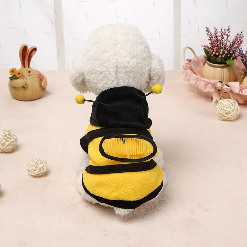 Clothes Teddy Dog Clothes Novara Shop