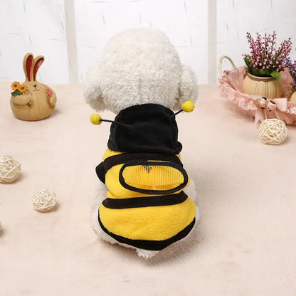 Clothes Teddy Dog Clothes Novara Shop