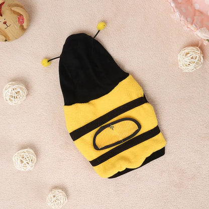 Clothes Teddy Dog Clothes Novara Shop