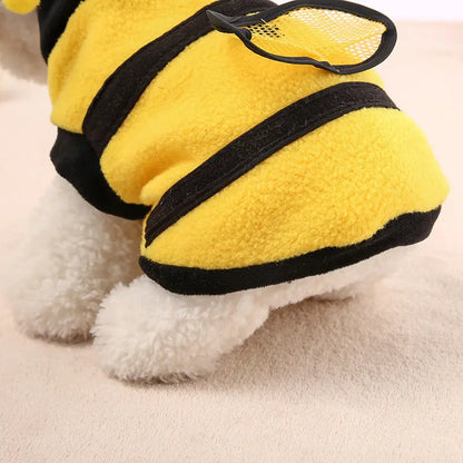 Clothes Teddy Dog Clothes Novara Shop