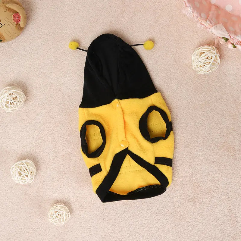 Clothes Teddy Dog Clothes Novara Shop