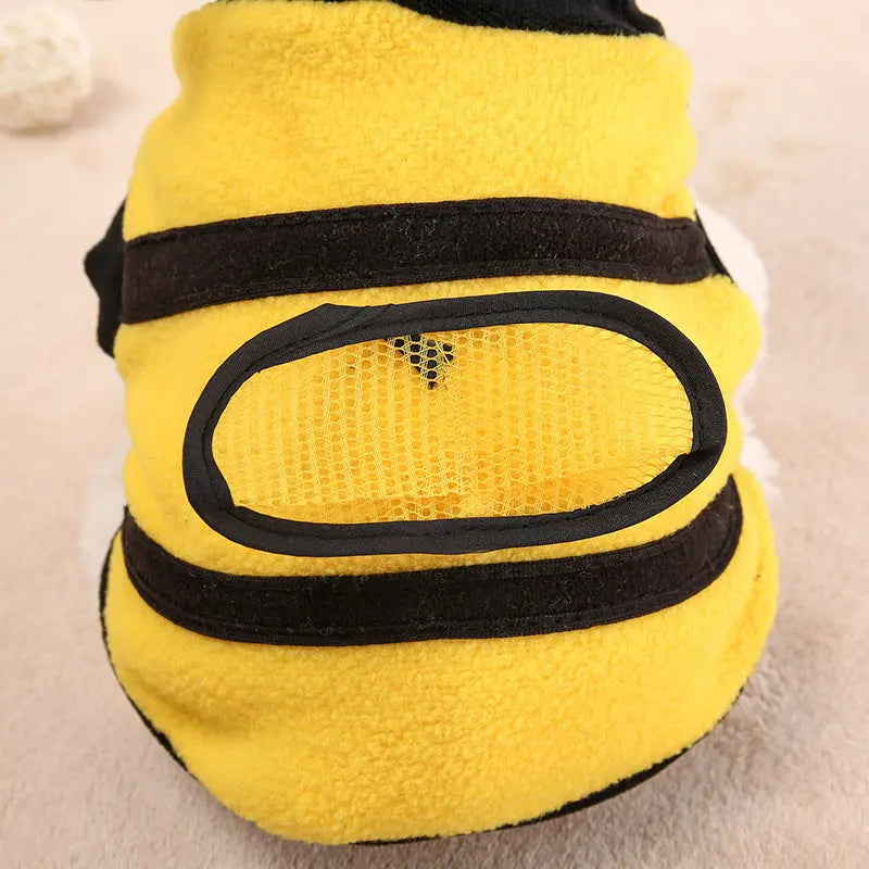 Clothes Teddy Dog Clothes Novara Shop