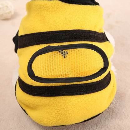 Clothes Teddy Dog Clothes Novara Shop